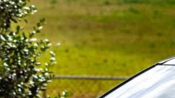 Las autoridades dicen que la mujer está prófuga.