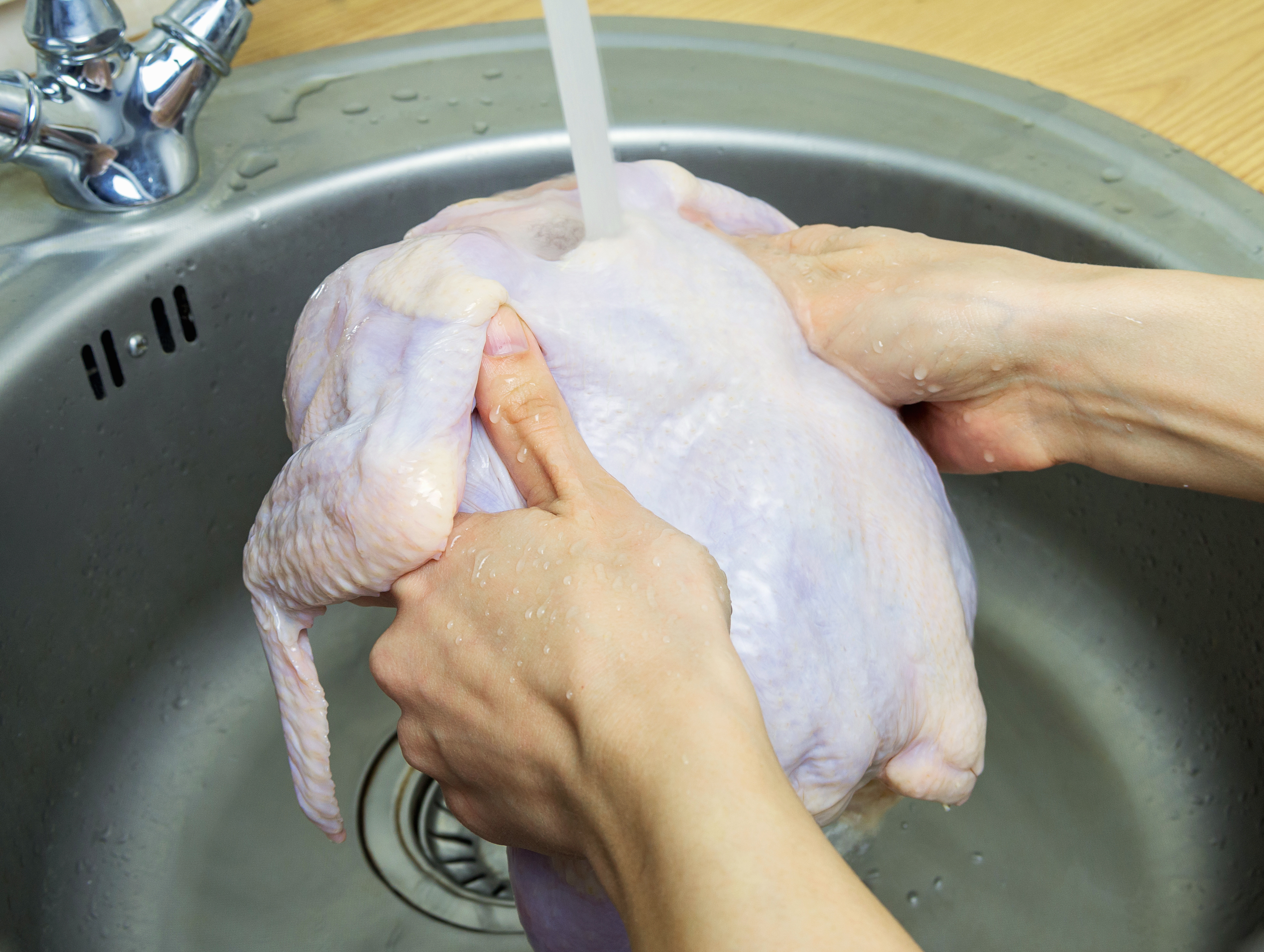 La experta explica que al cocinar el pollo las bacterias se destruirán.
