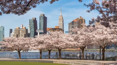 Primavera Nueva York
