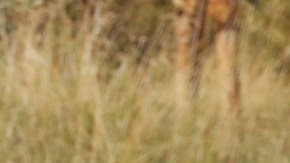 Raúl de Molina, presentador de El Gordo y la Flaca.