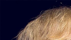 Algunos de los nominados al Salon de la Fama del Rock & Roll.