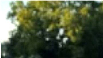 Sam Nordquist viajó de Minnesota por una mujer que conoció en línea, dijo la policía.