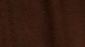 Selena Gómez y Benny Blanco son una de las parejas del momento.