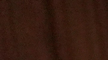 Selena Gómez y Benny Blanco son una de las parejas del momento.