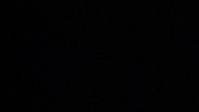 Las cenizas de Silvia Pinal están junto a las de su madre María Luisa Hidalgo.