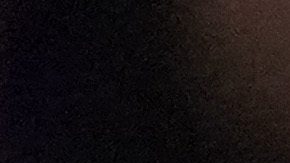 Selección de Estados Unidos.