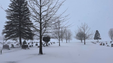Nieve