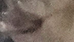 Donald Trump durante el Super Bowl.