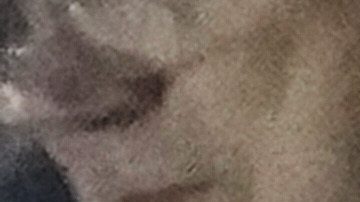 Donald Trump durante el Super Bowl.