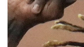 Jugador de New York Mets y New York Yankees con y sin barba.