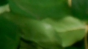 Zendaya regresa como 'Rue' en la tercera temporada de 'Euphoria'