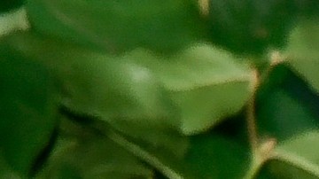 Zendaya regresa como 'Rue' en la tercera temporada de 'Euphoria'