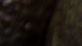 El aguacate es un alimento con múltiples beneficios, pero desafortunadamente no es apto para todos.