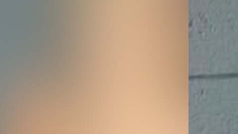 Varias agencias ayudaron al FBI en la captura de Jiménez.