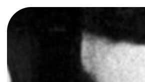 Carlos Muñiz Varela y Santiago “Chagui” Mari Pesquera