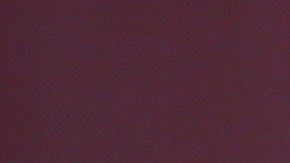 Camilo recibió muchos mensajes de felicitaciones por parte de sus admiradores.