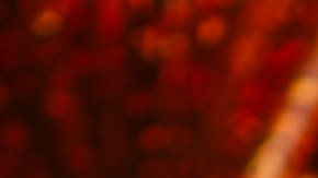 Carin León explicó el motivo por el que no fue a los premios Grammy.