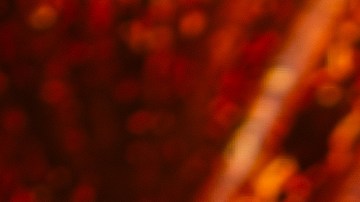 Carin León explicó el motivo por el que no fue a los premios Grammy.