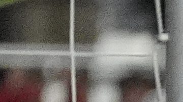 El Inter Miami de Lionel Messi es uno de los equipos clasificados.