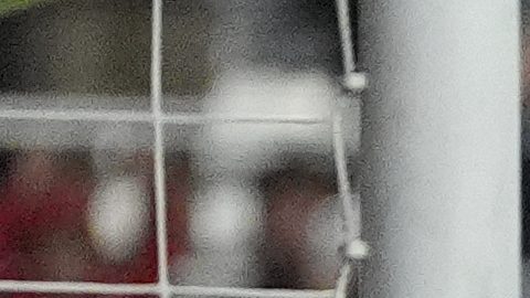 El Inter Miami de Lionel Messi es uno de los equipos clasificados.