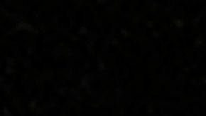 Ryan Preece choca durante la Daytona 500.