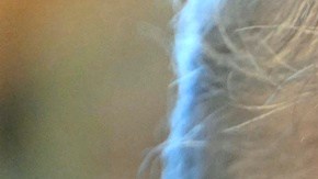 reemplazará el Programa de Inmigración para Inversores EB-5