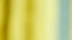 ¿Cómo reaccionó Donald Trump tras la polémica de Javier Milei por promocionar la "criptoestafa"?