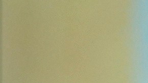 Trump dice que se reunirá muy pronto con Putin para poner fin a la guerra en Ucrania