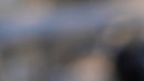 Trump se reunirá con Zelenski en la Casa Blanca y hablará con Putin