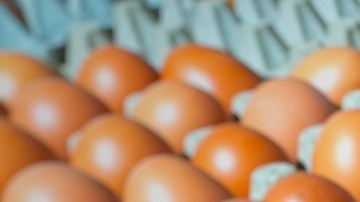 ¿Por qué hay escasez de huevos y aumento en su precio en Estados Unidos?