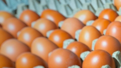¿Por qué hay escasez de huevos y aumento en su precio en Estados Unidos?