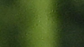 Gisele Bündchen y Joaquim Valente tienen un romance desde 2022.