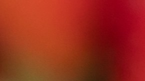 granja-fresas-menos-agua-tierra