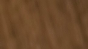 Los huevos cocidos son el alimento que nunca falla, a cualquier hora y si estás trabajando en la pérdida de peso.