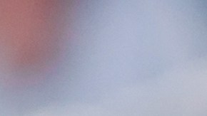 Unos ladrones sigilosos de llevaron un cargamento de huevos valorados en 40,000 dólares.