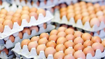 Unos ladrones sigilosos de llevaron un cargamento de huevos valorados en 40,000 dólares.