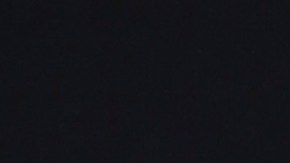 Javier Milei dijo que no promocionó criptomoneda y admitió: "Me dieron un cachetazo"