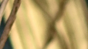 El juicio entre Lively y Baldoni está programado para marzo de 2026.