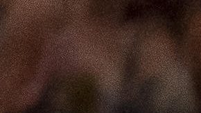 Luka Doncic defiende una ofensiva de LeBron James.