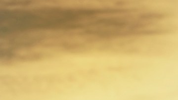 Una caminata ayuda a estimular el organismo