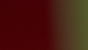 Debes considerar que el limón no elimina completamente las cucarachas, sino que actúa como un repelente natural.