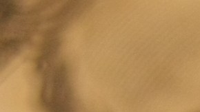 loteria-500-mil-dolares