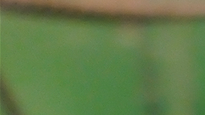 LOTERÍAS NUEVA JERSEY