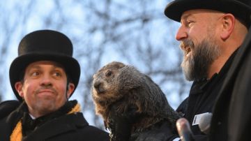 El cuidador del Groundhog Club, AJ Dereume, sostiene a Punxsutawney Phil, la marmota que pronostica el tiempo, durante la 139.ª celebración del Día de la Marmota en Gobbler's Knob en Punxsutawney, Pensilvania, el domingo 2 de febrero de 2025.