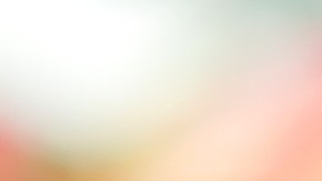 mcdonalds-carne-proveedores