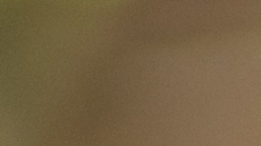 Conoce cómo los antioxidantes de la miel ayuda a depurar el hígado de forma natural.