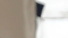 Estos estados pagarían recompensas de $1,000 a quienes delaten a indocumentados