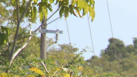 Migrantes caminan después de regresar de la Comisión Mexicana de Ayuda a Personas Refugiadas (Comar), en espera de resolver su situación migratoria este jueves en la ciudad de Tapachula en el estado de Chiapas (México).