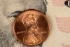 numismatica-1-centavo