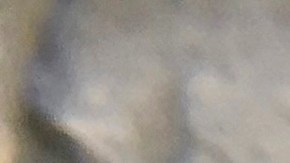 numismatica-25-centavos-coleccionismo-valor
